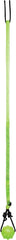 Jolly Pets Tree Tugger For Dog, Green