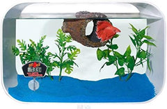 Zoo Med Laboratories Digital Betta Thermometer