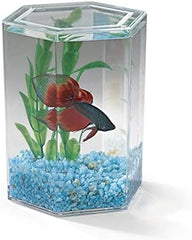 Lee's Bulk Betta Hex