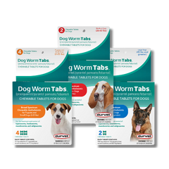 Durvet® Dog Worm Tabs – Chewable Dewormer for Dogs
