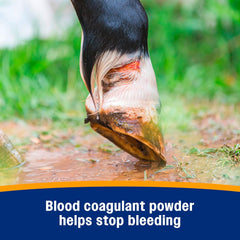 Wonder Dust Wound Powder 4 oz