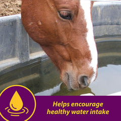 Apple-Dex Electrolytes – 30 lbs