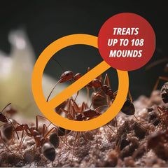 Martin's® Surrender Fire Ant Killer – Complete Colony Control