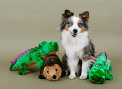 ZippyPaws Hedgehog Large_DX