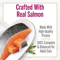 Fancy Feast Savory Centers Salmon Pate Wet Cat Food – 24 Pack 3 oz Cans