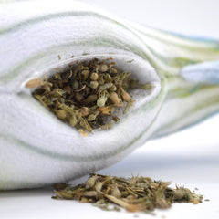 SMARTERPAW Meowijuana Get Hooked Kahuna Tuna Toy