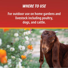 Martin’s® Viper Insect Dust 4 lb