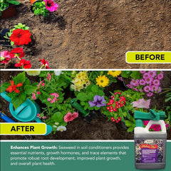 Medina® Plus – Enhanced Soil Activator & Foliar Feed