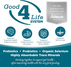 NutriSource Adult Chicken & Rice Small Bites Dog Food 15lb