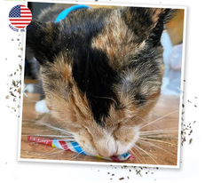 SMARTERPAW Meowijuana Birthjays Party Sized Catnip Joints 6 ct