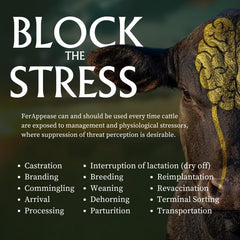 Durvet® FerAppease – 300 mL