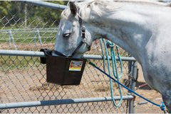 Little Giant® Plastic Hook Over Feeder – 15 Quart Durable Feed Bucket