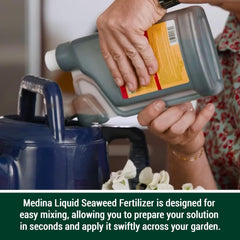 Medina® Liquid Seaweed