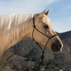 Mustang® Economy Mountain Rope Halter 8104