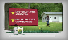 Compare-N-Save® Glyphosate Concentrate Grass & Weed Killer – 32 oz