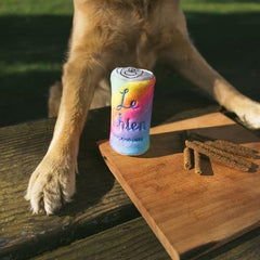 ZippyPaws Squeakie Can - Le Chien Squeakie Can Small Dog Toy, Rainbow Dog Toy with Squeakers, Plush Dog Toys for Aggressive Chewers, Summer Dog Toys, Rainbow Dog Pride Accessories