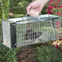 Havahart (6" x 6.375" x 16 0745) Extra Small 1-Door Humane Catch and Release Live Animal Trap for Squirrels, Chipmunks, Rats, Weasels, and Small Animals