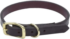 Coastal Pet - Circle T Latigo Leather Town Dog Collar with Brass Hardware - Brown and Gold