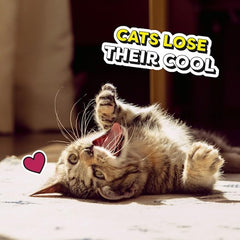 Temptations Salmon and Dairy Flavor Crunchy and Soft Kitten Treats