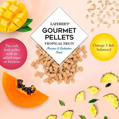 LAFEBER'S Tropical Fruit Gourmet Pellets Pet Bird Food, No Added Sugar, Made with Non-GMO and Human-Grade Ingredients, for Macaws and Cockatoos