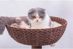 PetPals Group Quartz Handwoven Eco-Friendly Cat Tree with Paper Rope Scratching Posts, 36" H