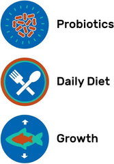 Hikari Herptile Dragon Delite™ Dry Reptile Food