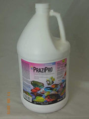 Aquarium Solutions Hikari Aquarium Solutions Prazipro Parasite Treatment