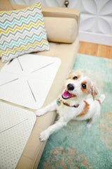 Mammoth X-Mat Pet Training Mat For Dogs And Cats