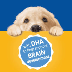 Pedigree Traditional Ground Dinner Chicken and Beef Canned Puppy Food 13.2 oz, 1 ea