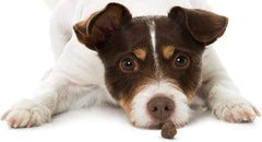 Pet Greens Treats Tasty Lamb Semi-Moist Dog Treat