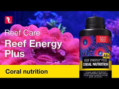 Red Sea Reef Energy Plus (AB+) All In One Coral Food for Saltwater Aquarium Marine Reef Tanks | Food for Soft, LPS, SPS, and Non-Photosynthetic Corals