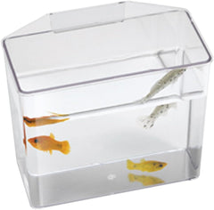 Lee's 18673 Break Resistant Specimen Container, Large,White