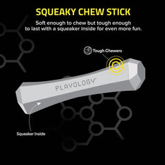 Playology Squeaky Chew Stick Dog Toy
