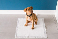 PRECISION PET PRODUCTS Little Stinker Housebreaking Pads 6-Layer Liquid Lock Varying Multi-packs Available,White