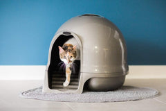 Petmate Booda Clean Step Cat Litter Box Dome (Made in the USA with 95% Recycled Materials)
