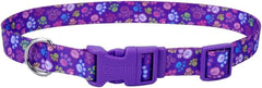 Coastal Pet Styles Adjustable Dog Collar - Stylish Patterned Fabrics - Snap-Lock Buckle - Adjustable Dog Collar - For Small, Medium or Large Dogs - Special Paws
