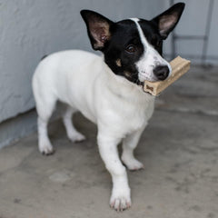 Loving Pets Yummy Bones - Bacon Flavor Filled Bone Dog Treat, Box of 15 Single Wrapped Bones