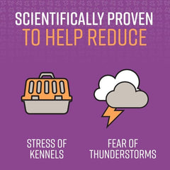 SENTRY PET Care Sentry Calming Spray for Dogs, Uses Pheromones to Reduce Stress, Easy Spray Application, Helps Dogs with Separation, Travel, Loud Noises, and Anxiety, Packaging May Vary