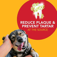 Petrodex Toothpaste for Dogs and Puppies, Cleans Teeth and Fights Bad Breath, Reduces Plaque and Tartar Formation, 2.5oz