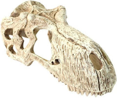 Komodo T-Rex Skull