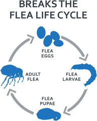 3-PACK SENTRY FiproGuard Plus Flea & Tick Spot-On for Dogs