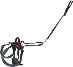 PetSafe CareLift Rear Support Harness - Lifting Aid with Handle - Great for Pet Mobility and Older Dogs - Comfortable, Breathable Material - Easy to Adjust - Small