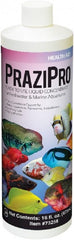 Aquarium Solutions Hikari Aquarium Solutions Prazipro Parasite Treatment