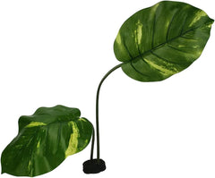 Multi Pet 48593203: Komodo Woodland Canopy Plant, 42Cm
