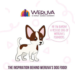 Weruva Meals 'n More Natural Wet Dog Food, Grandma's Chicken Soup Plus Digestive Support(Pack of 12)