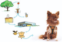 Curli Apple Leather Dog Harness