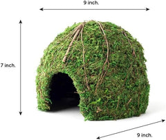Galápagos Mossy Dome Hide, Vined