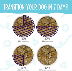 Weruva Meals 'n More Natural Wet Dog Food, Steak Frites Dinner Plus Skin & Coat Health (Pack of 12)