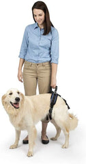 Solvit Product PetSafe CareLift Rear Support Harness - Lifting Aid with Handle and Shoulder Strap - Fits Waist Measuring 27-37 inches, Dog Weight 70lb-130lb, Large, Black