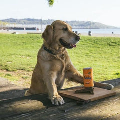 ZippyPaws - Squeakie Can Dog Toys, Stuffing Squeaker Plush Beverage Dog Toy - Fetcha